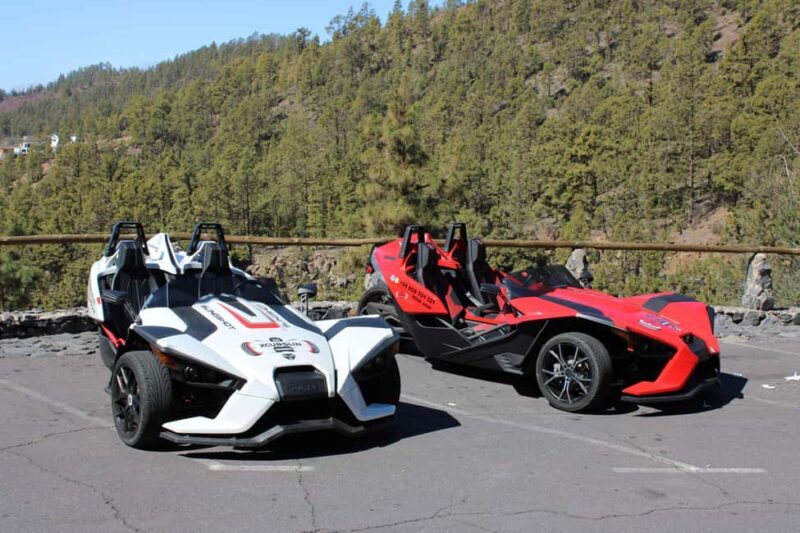 Tenerife: Pino Gordo Self-Drive Slingshot Tour - Key Points