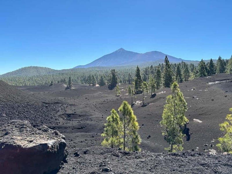 Tenerife: premium e-bike ride at Chineyro volcanic area - Practical Details: What You Need to Know