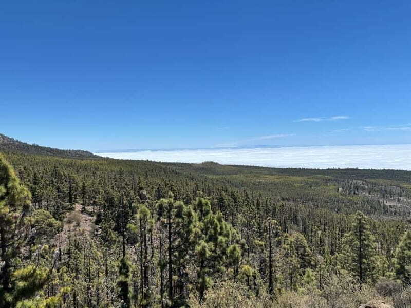 Tenerife: premium e-bike ride at Vilaflor- Lunar Landscape - Pricing and Value