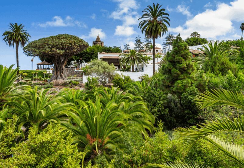 Tenerife: Private Day Tour of the Island with Hotel Pickup - Authentic Experiences and Hidden Gems