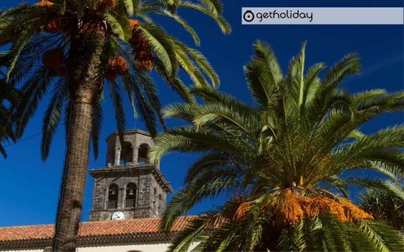 Tenerife: Private Day Trip with Hotel Pickup and Drop-off - In-Depth Review of the Tenerife Private Day Trip