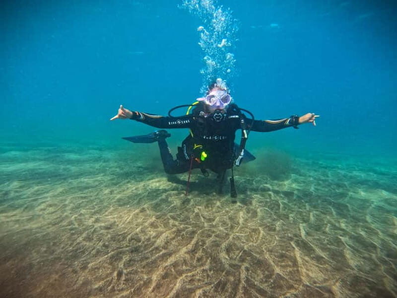 Tenerife: Private Scuba DivingCertified Instructor & Photos - Final Thoughts: Is It Worth It?