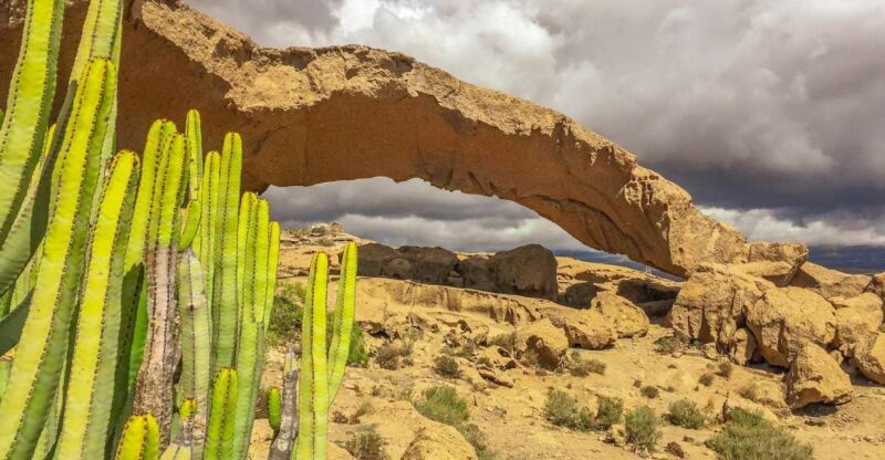 Tenerife Private Tour: Full-Day Volcanic South - FAQ Section