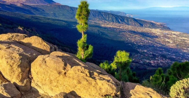 Tenerife Private Tour: Teide and Flavors of The North - Key Points