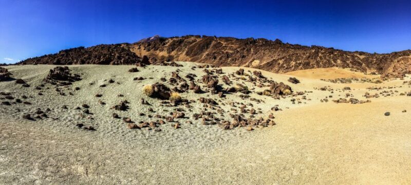 Tenerife Private Tour: Teide and Flavors of The North - Who Should Consider This Tour?