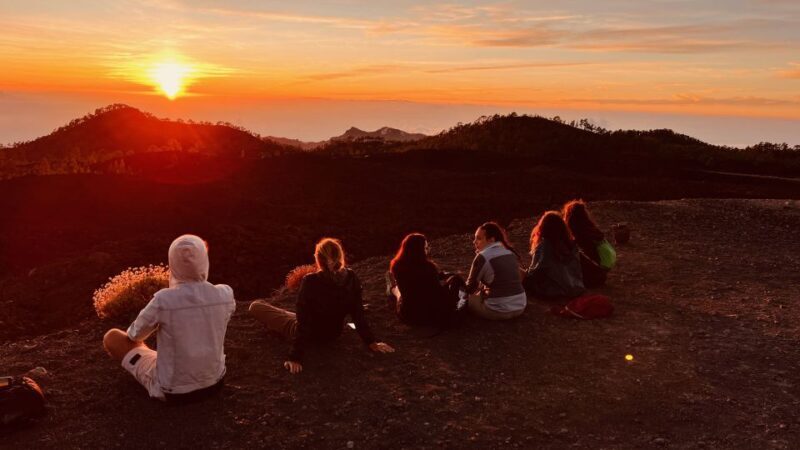 Tenerife: Private VIP Tour Teide National Park - Exploring Tenerife’s Teide National Park: A Private VIP Experience