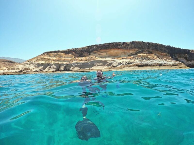Tenerife: Puerto Colon Snorkel Safari by Speed Boat - What to Expect on Your Tenerife Snorkel Safari