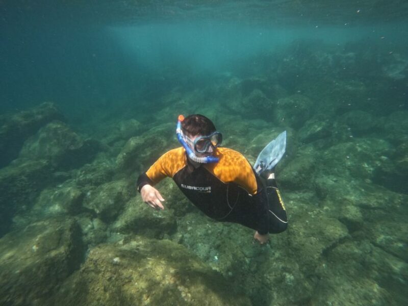 Tenerife: Puerto Colon Snorkel Safari by Speed Boat - Why This Tour Works for Travelers
