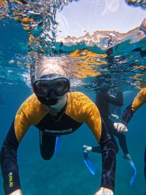 Tenerife: Puerto Colon Snorkel Safari by Speed Boat - Frequently Asked Questions