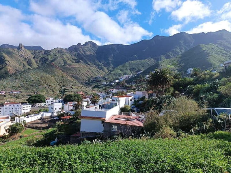 Tenerife-Puerto Cruz: Avatar Hiking, Bajamar and Cocktail - The Perfect Ending: Cocktails with a View