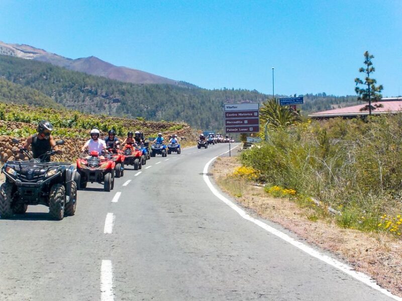 Tenerife: Quad Adventure Tour in Teide National Park - Who Should Consider This Tour?
