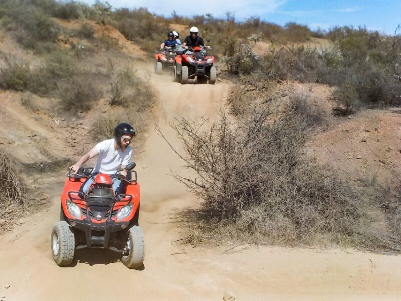 Tenerife: Quad Adventure Tour in Teide National Park - The Sum Up