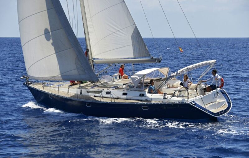 Tenerife: Sailing Excursion with Whale and Dolphin Watching - Marine Wildlife Encounters
