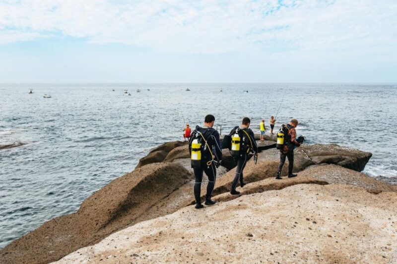 Tenerife: Scuba Diving Experience with Instructor and Gear - Key Points