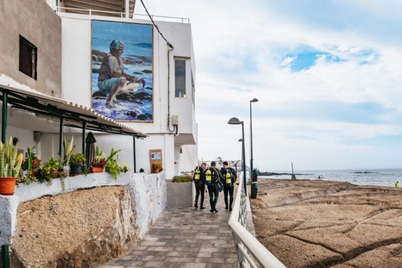 Tenerife: Scuba Diving Experience with Instructor and Gear - Who Should Consider This Tour?