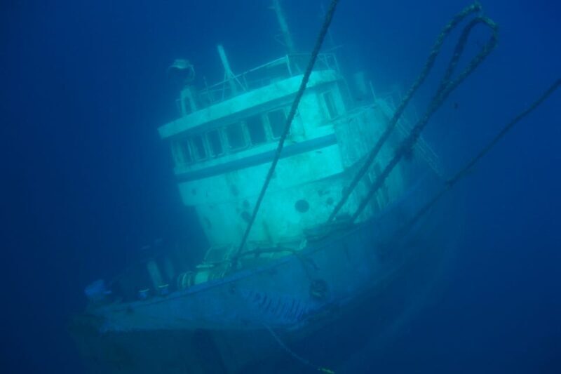 Tenerife Scuba Diving for Certified Divers - Tenerife Scuba Diving for Certified Divers