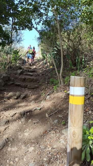 Tenerife: Senderismo Anaga, Bosque Mágico, Reserva Biosfera - Why Choose This Tour?