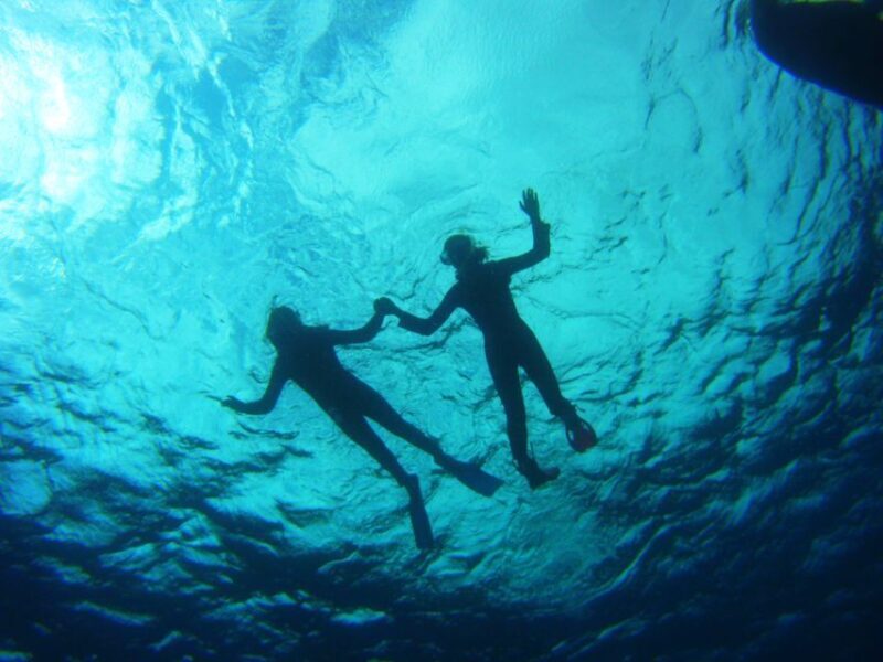 Tenerife: Snorkel with Turtles - Final Thoughts