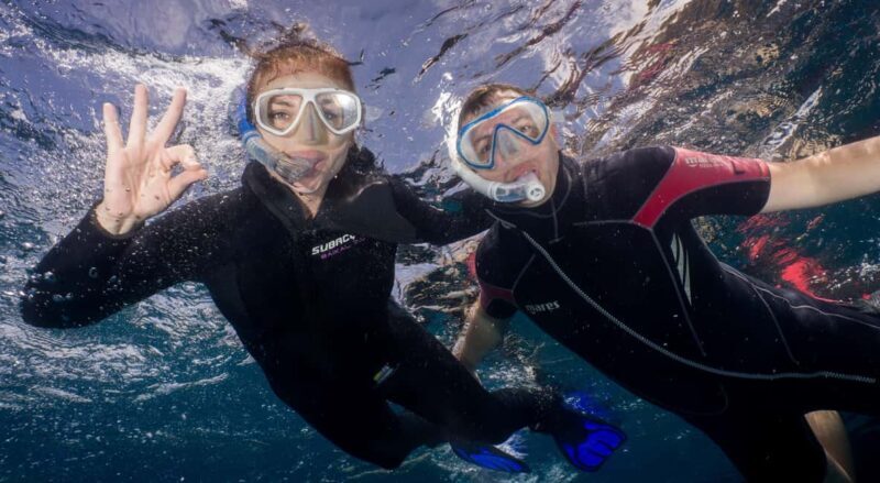 Tenerife: Snorkeling to look for Turtles and Rays - Who Should Book This Tour?