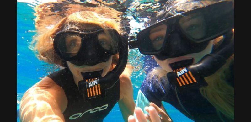 Tenerife: Snorkeling Tour in a Marine Protected Area - Tenerife: Snorkeling Tour in a Marine Protected Area
