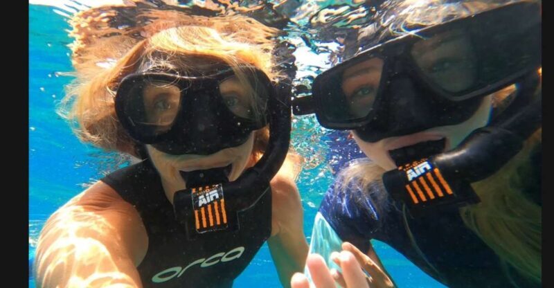 Tenerife: Snorkeling Tour in a Marine Protected Area - Discovering the Underwater World of Tenerife