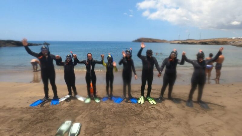 Tenerife: Snorkeling Tour in a Marine Protected Area - Weather and Conditions: What You Need to Know