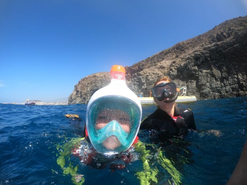 Tenerife: Snorkeling Trip in a Turtle Habitat - What to Expect on the Tenerife Snorkeling Tour