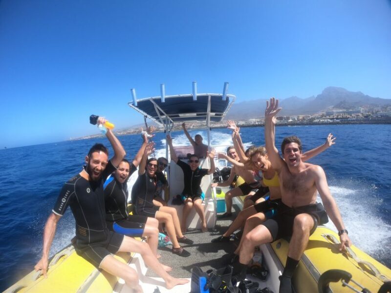 Tenerife: Snorkeling Trip in a Turtle Habitat - Practical Considerations and Tips