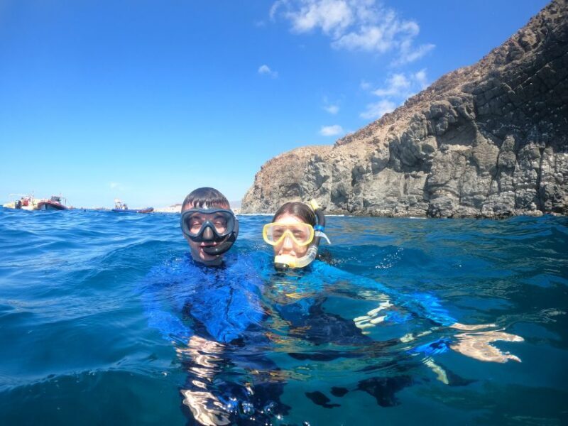 Tenerife: Snorkeling Trip in a Turtle Habitat - The Sum Up