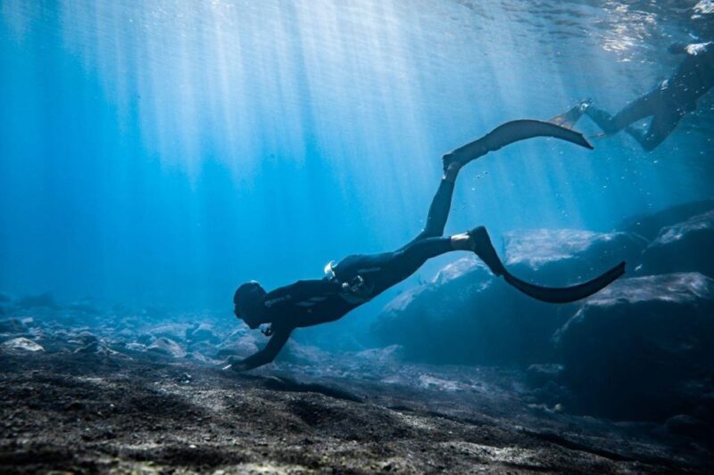 Tenerife : Snorkeling underwater with freediving Instructor - Key Points