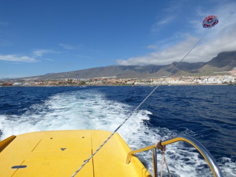 Tenerife South: Parascending Experience with Boat Ride - Who Will Love This Tour?