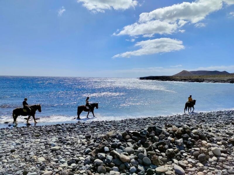 Tenerife South: Private Horseback Riding to the Coast - An Authentic Ride Along Tenerife’s South Coast