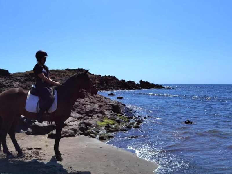 Tenerife South: Private Horseback Riding to the Coast - Why This Tour Works Well