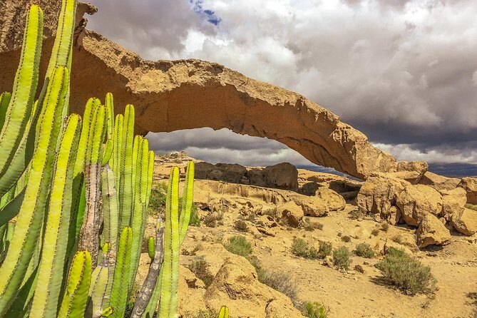 Tenerife South Private Tour: Secrets of the Volcanoes - Final Thoughts