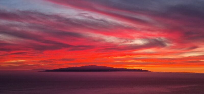 Tenerife South: Romantic Night Cruise - Tenerife South: Romantic Night Cruise – A Detailed Review