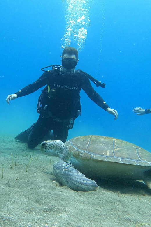 Tenerife south: Scuba Dive for beginners in Adeje - A Deep Dive into the Experience
