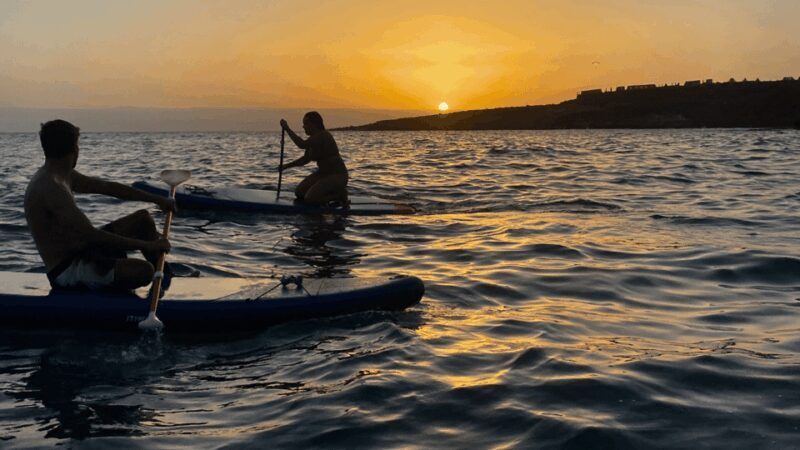 Tenerife: Sunset Stand-Up Paddleboarding Tour - Cost and Value