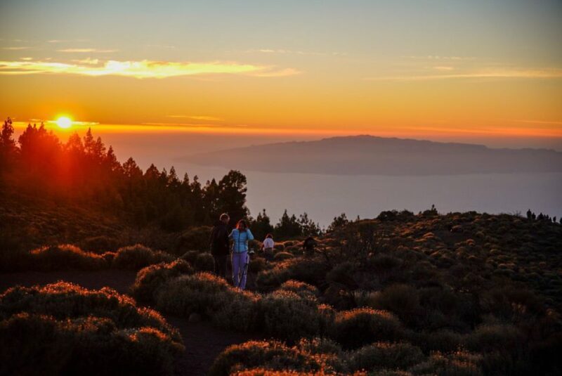 Tenerife: Sunset Volcano Teide Buggy Tour - Final Thoughts