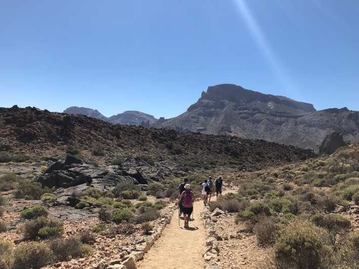 Tenerife : Teide Hiking - Authentic Experiences and Common Critiques