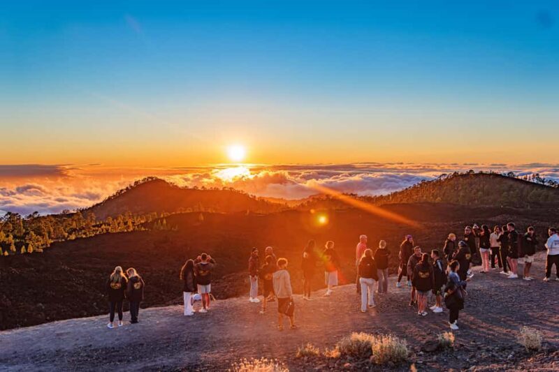 Tenerife: Teide Mountain On-Road Guided Quad Tour with drink - Who Will Love This Tour?