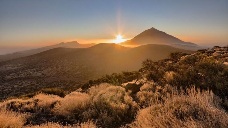 Tenerife: Teide National Park and Dolphins Sailboat Tour - Exploring Tenerife: A Deep Dive into the Tour Experience