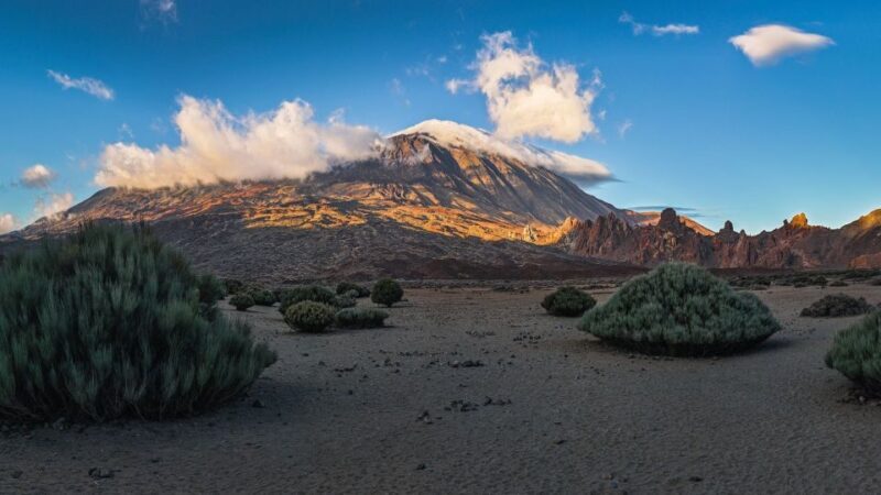 Tenerife: Teide National Park and Dolphins Sailboat Tour - Who Is This Tour Best For?