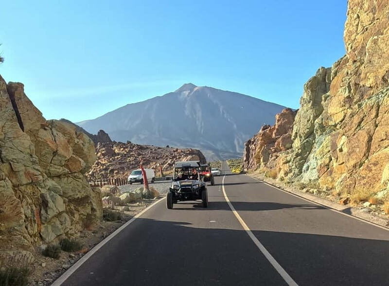 Tenerife: Teide National Park and Volcano Buggy Tour - Who Is This Tour Best For?