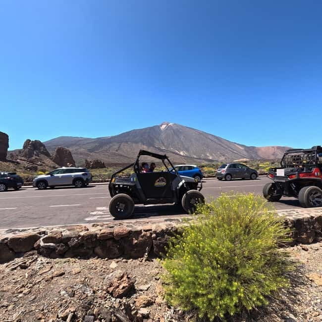 Tenerife: Teide National Park and Volcano Buggy Tour - The Sum Up