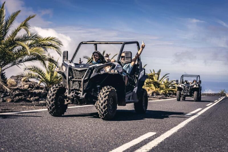 Tenerife: Teide National Park Buggy Tour with Hotel Transfer - Who Will Love This Tour?