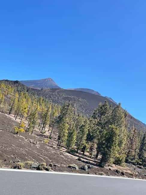 Tenerife: Teide National Park Excursion Teide Tours in a VIP 4x4 Jeep - Who Is This Tour Best For?