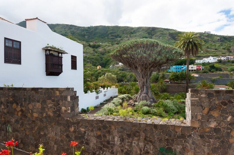 Tenerife: Teide National Park Full-Day Tour with Pickup - Key Points