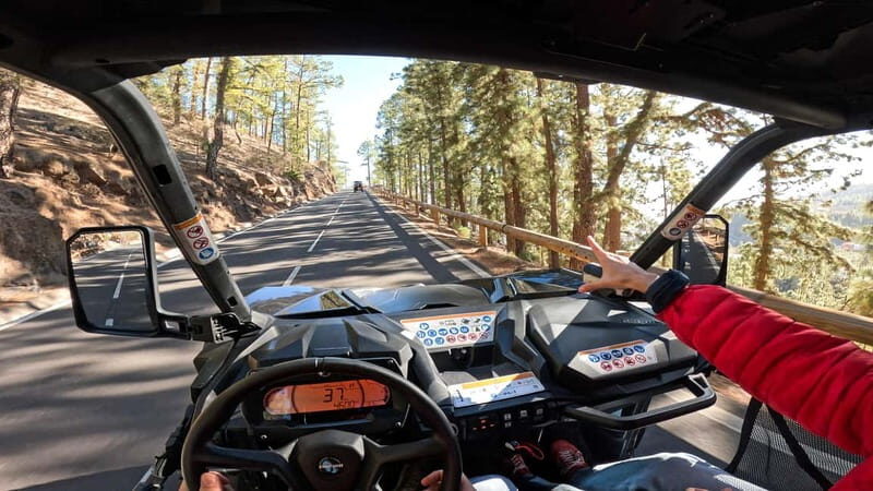 Tenerife: Teide National Park Guided Buggy Tour - The Quality and Authenticity of the Guides