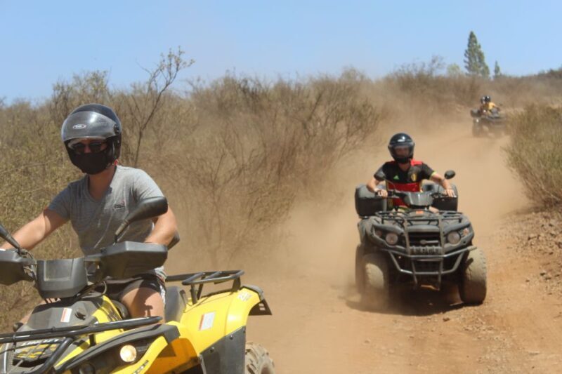 Tenerife: Teide National Park Quad Bike Tour - What’s Included and What’s Not
