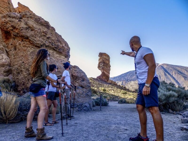 Tenerife: Teide National Park & Teno Rural Park Private Tour - Final Thoughts: Who Is This Tour Best For?